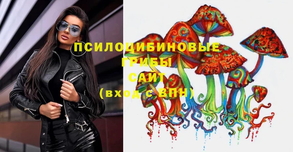 ПСИЛОЦИБИНОВЫЕ ГРИБЫ Абдулино