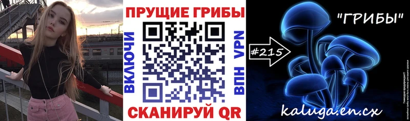 kraken ССЫЛКА Кохма Псилоцибиновые грибы мицелий
