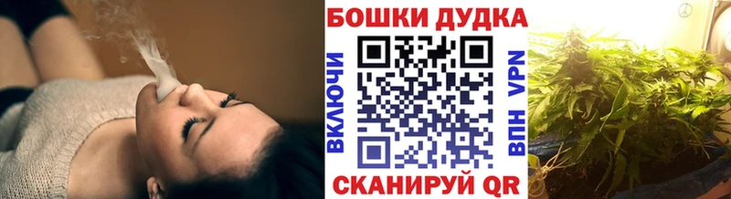 Каннабис ГИДРОПОН  Кохма 